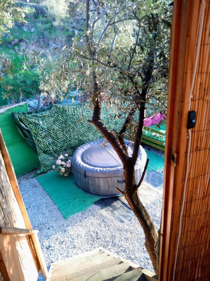 Treehouse ,Casa Arbol, With Spa Algarrobo Luaran gambar